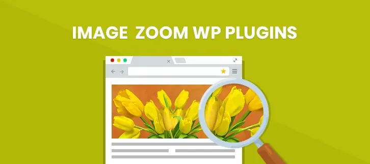 plugin zoom ảnh wordpress